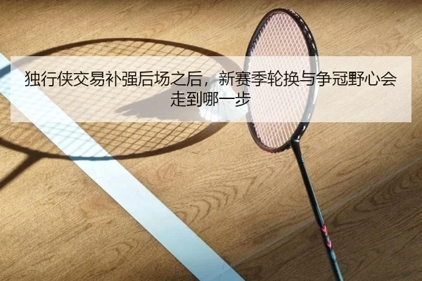 独行侠交易补强后场之后，新赛季轮换与争冠野心会走到哪一步（mkty）